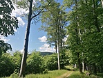 IMG_20220528_142629