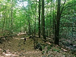IMG_20220528_162827