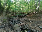 IMG_20220528_170335
