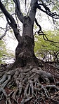 IMG_20220501_154542