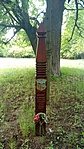 IMG_20220503_160258