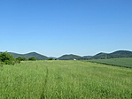 IMG_9012