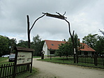 IMG_9843