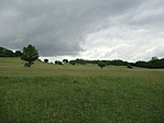 IMG_9852