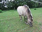 IMG_9860