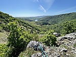 IMG_6420