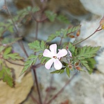 IMG_20220522_114237_137