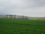 DSC06346