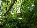 IMG_20220515_120113