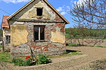 kontrassz