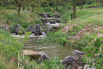 IMG_8880