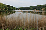 IMG_9099