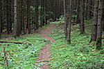 IMG_9102