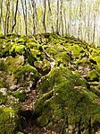 20220428_094931