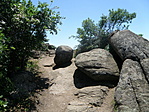 P5195526