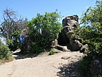 P5195534