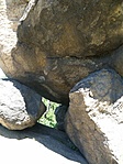 P5195554