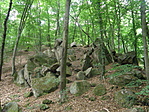 P5215724