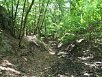 P5215768