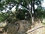 P5215778