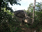 P5215779