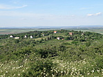 P5215825