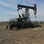 IMG_20220505_113852