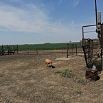 IMG_20220505_113920