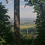IMG_20220521_151710