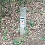 IMG_20220521_151036