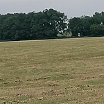 IMG_20220528_110428