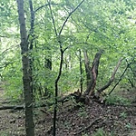 IMG_20220528_105543