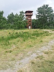 IMG_20220625_125618.jpg