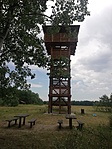 IMG_20220625_125044.jpg