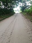 IMG_20220625_130146.jpg