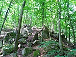IMG_20220606_105138