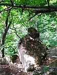 IMG_20220606_104903