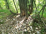 GCRMAF_20220628_154843