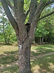 IMG_20220614_120104