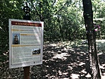 IMG_4163