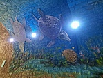 IMG-20220611-WA0153