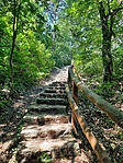 IMG-20220611-WA0161