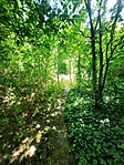 IMG-20220626-WA0287