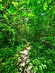 IMG-20220626-WA0277