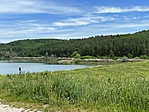 image_50443777