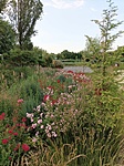 IMG_20220617_194538