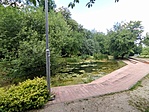 IMG_20220626_103231.jpg