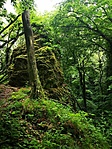 IMG_20220528_114048