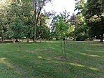 IMG_20220624_175546