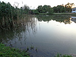 Tó a Park Sétányon, Herend